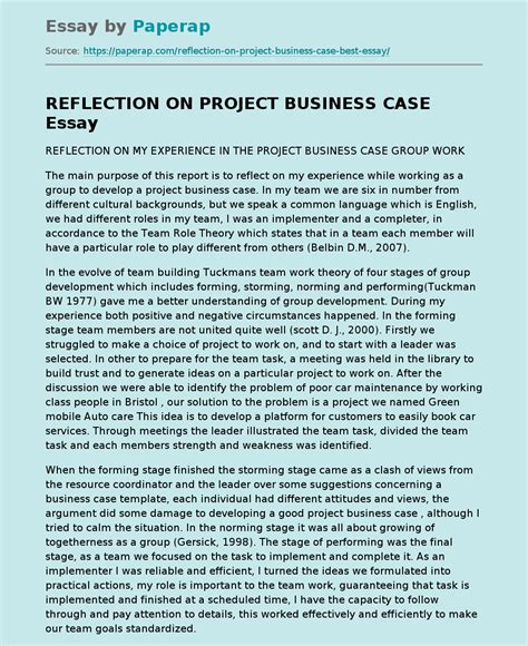 reflection  project business case reflective essay