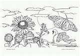 Nature Coloring Pages Print sketch template