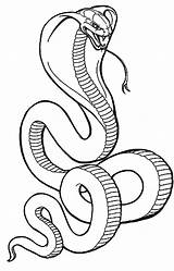Snake Anaconda Coloring Pages Getdrawings sketch template