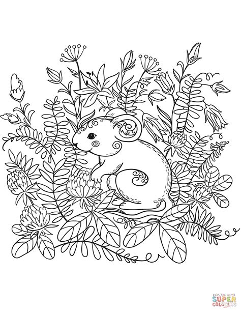 coloring book woodland animals  svg png eps dxf  zip file