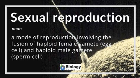 sexual reproduction definition and examples biology