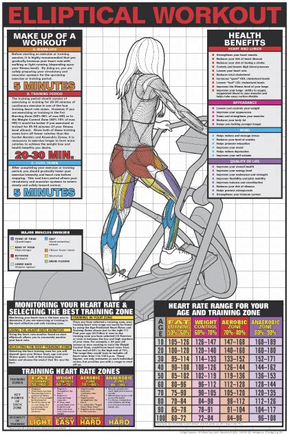 elliptical workout poster laminated cardiomachines elliptical