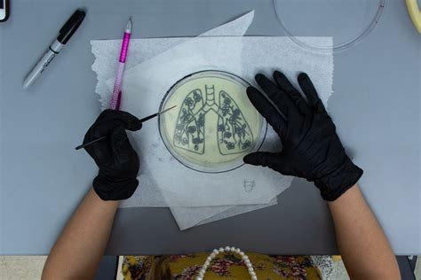 byu students paint  bacteria    art competition  daily universe