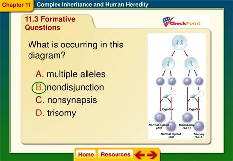 Ppt Section 1 Basic Patterns Of Human Inheritance Powerpoint