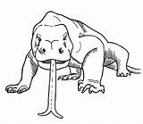 Komodo Sixty Dragons Dinosaur Clipground Wickedbabesblog sketch template