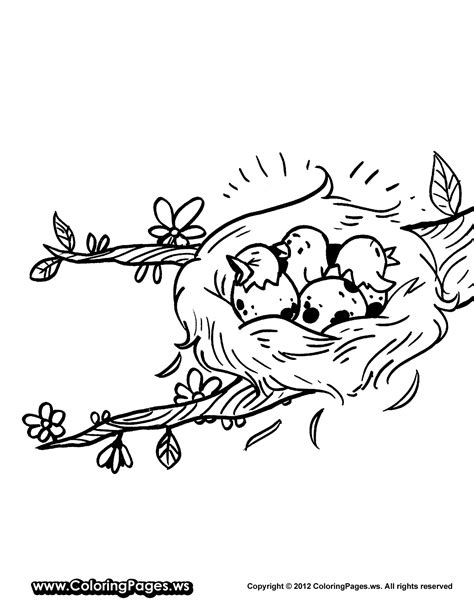 empty bird nest coloring page