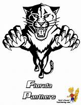 Florida Panther Drawing Pages Coloring Getdrawings sketch template