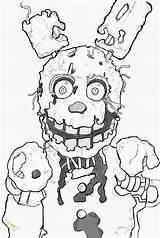 Freddy Nights Five Springtrap Coloring Pages Drawing Freddys Fnaf Draw Spring Trap Color Printable Foxy Example Season Template Sketch Finished sketch template