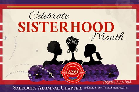delta sigma theta sorority  celebrating sisterhood