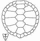 Turtle Pattern Shell Coloring Drawing Draw Clipart Pages Sketch Cliparts Clip Line Shells Book Kids Library Choose Board Reptiles sketch template