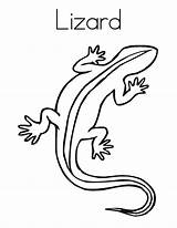 Lizard Collared sketch template