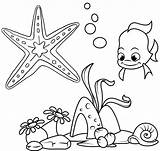 Coloring Starfish Beautiful Undersea Creature Pages Wow Children These sketch template