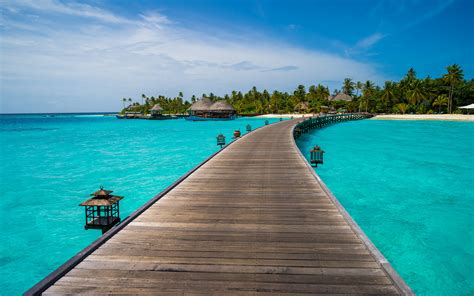 tropical palm tree island turquoise sea ocean maldives wooden man  pier  ultra hd