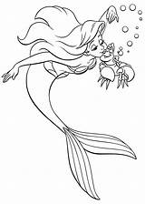 Ariel Coloring Pages Disney Princess Sebastian Characters Printable sketch template