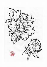 Japanese Peony Tattoo Flower Drawing Peonies Drawings Deviantart Flowers Tattoos Outline Designs Sketch Google Closed Lotus Styles Getdrawings Pages Br sketch template