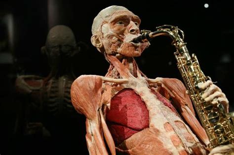 body worlds amsterdam 2019 all you need to know before you go with photos tripadvisor