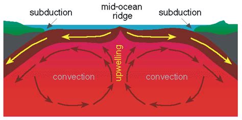 shift  plate tectonics  emergence  evolution  plate