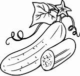 Pepino Cucumber Coloringall Vegetable sketch template