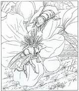 Coloring Pages Bee Nature Natuur Adults Kleurplaten Adult Bees Color Huis House Kids Kleurplaat Colouring Flowers Honingbij Rondom Het Kleuren sketch template