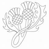 Thistle Scottish Drawing Line Scotch Thistles Embroidery Pattern Quilt Patterns Drawings Designs Silhouette Celtic Tattoo Getdrawings Templates Dreams Sweet Studio sketch template