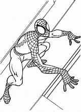 Spiderman Boyama Adam Oeruemcek Dracaufeu Sayfalari Okul Pianetabambini Orumcek Sayfasi sketch template