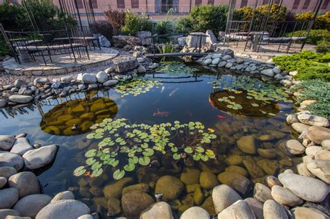 types  ponds   garden pondloverscom