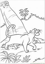Jungle Book Coloring Bagheera Pages Color Printable Walking Forest sketch template