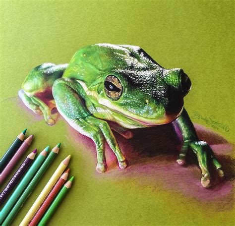 green tree frog original colored pencil art portrait craibasalgovbr