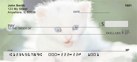 cute kitten personal checks