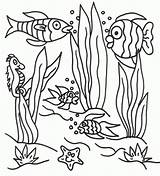 Coloring Underwater Pages Scene Clipart Ocean Floor Library sketch template