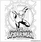 Spider Pages Man Ultimate Coloring Color Online sketch template