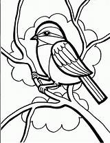 Bird Coloring Pages Birds Colouring Printable Kids Sheets Print Crow Book Oiseau Adults Girls Colorear Outlines sketch template