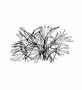 Tumbleweed Drawing Getdrawings sketch template