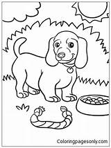 Coloring Dog Weiner Pages Puppy Color Animal Kids Colouring Sheets Books Printable Getcolorings Print Farm Adult Getdrawings Worksheets sketch template