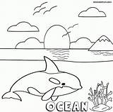 Coloring Ocean Kids Pages Print Everfreecoloring sketch template