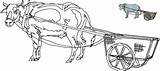 Oxcart Ox sketch template