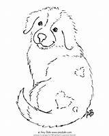 Coloring Sheet Puppy Dog Mountain Amy Pyrenees Great Bolin Bernese Bernard Saint Mistletoe Retriever Golden Under sketch template