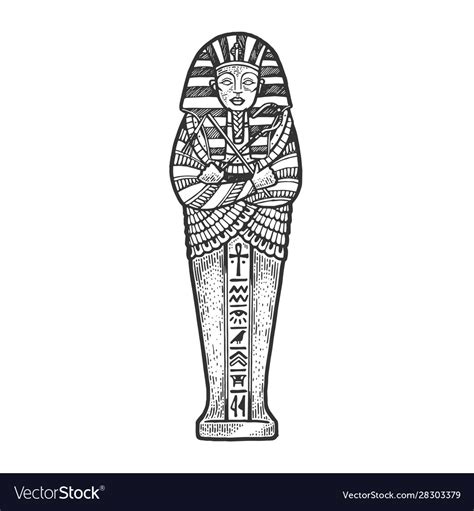 ancient egyptian sarcophagus sketch royalty  vector