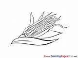 Coloring Corn Sheets Sheet Title sketch template