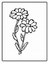 Flower Coloring Pages Painting Glass Designs Patterns Kids Para Print sketch template