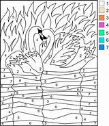 Zahlen Kolorowanki Swans Kolorowanka Magique Numery Według Activități Ausmalbilder Numerów Google Coloriages Chiffre Scris Proiecte Copii Artizanale Culori Malbuch Colorier sketch template