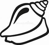 Lumaca Contorno Snail Contour Vongola Mare Slak Overzees Weekdier Animale Mollusco Vettore Libro Schelpdier Vectorbeeld Vektor sketch template