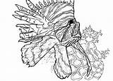 Lionfish Batch Getdrawings sketch template
