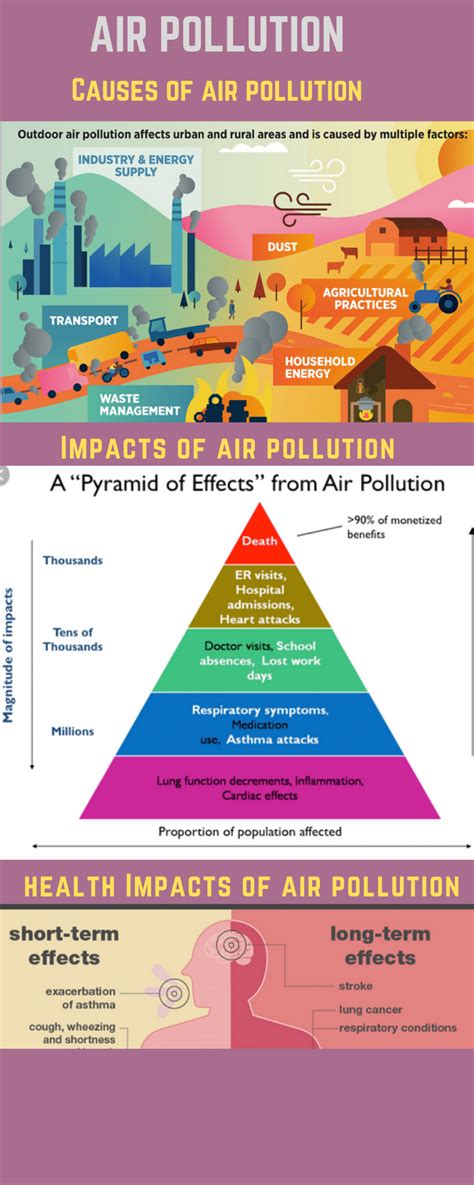 essay  air pollution  students types  impacts