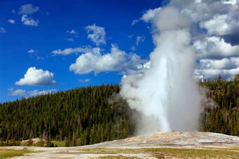 Royalty Free Old Faithful Geyser Pictures Images And