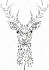 Zentangle Stylized Deer Depositphotos Patterned Ukr sketch template