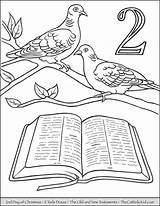 Doves Turtle Thecatholickid Pear Partridge sketch template