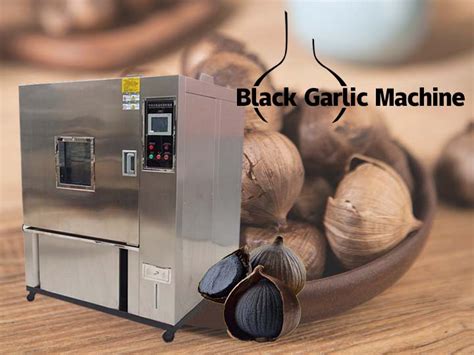 black garlic fermentation machine black garlic making
