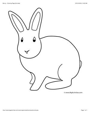animal coloring page   picture   cute bunny  color coloring