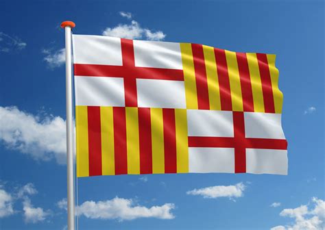 vlag barcelona bestel bij mastenenvlaggennl